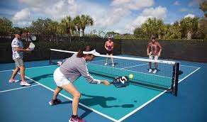 Winterslow Village Hall Pickleball image